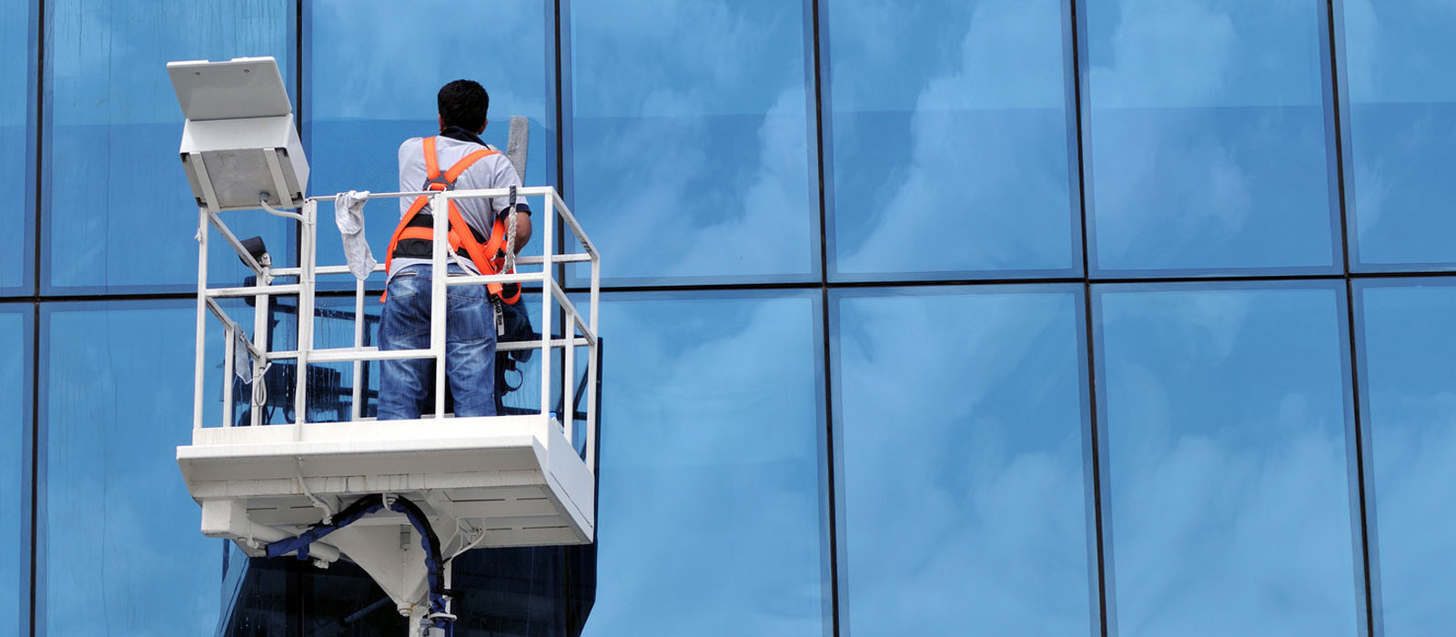 Window Cleaning Services